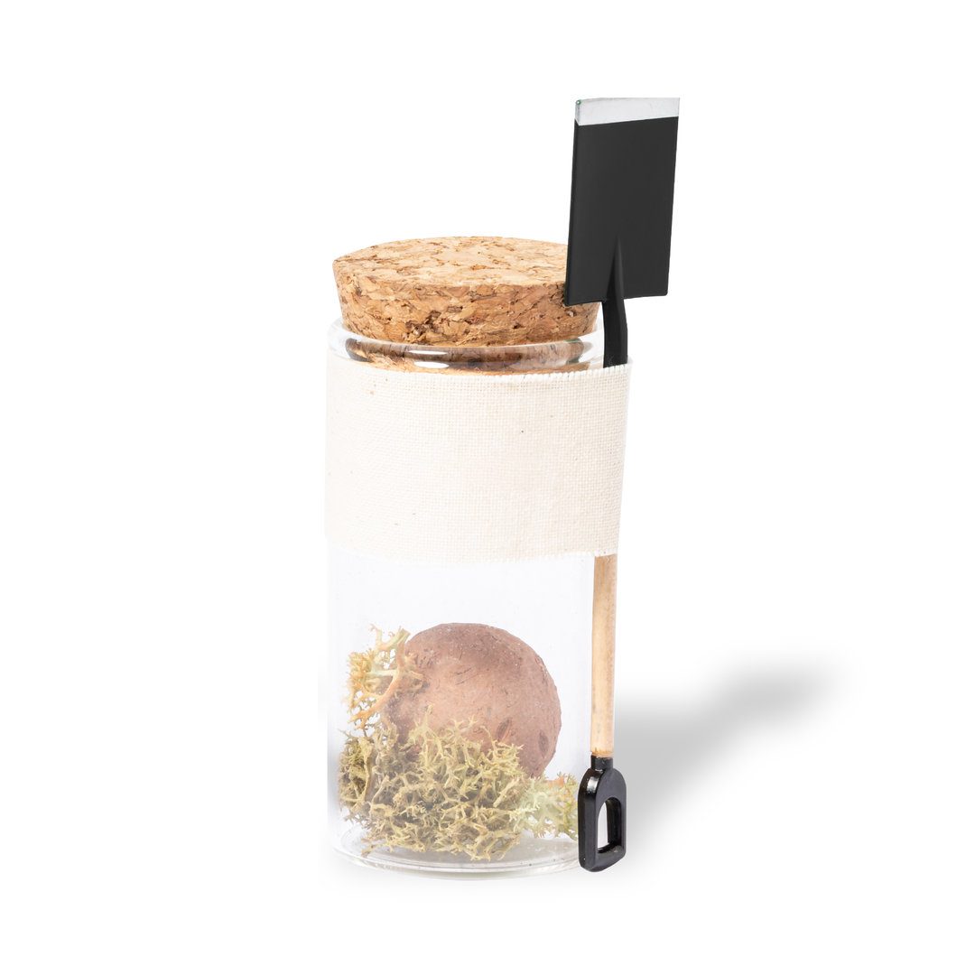 Regalos de empresa sostenibles ecologicos