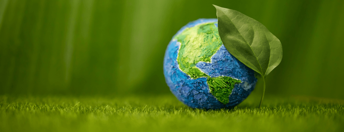 Nuevos productos 2026